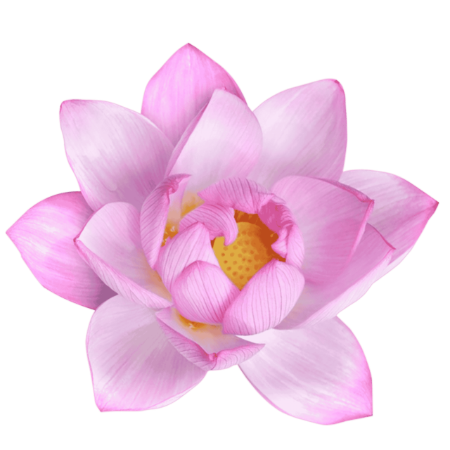 https://wellbeinghub.co.uk/wp-content/uploads/2025/02/lotus1-640x640.png